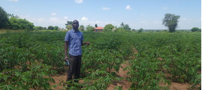 Nyero  Sub County Cassava Demonstration Garden